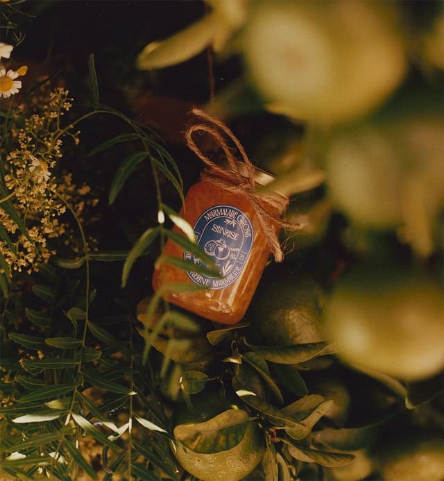 "Sunrise" Pixie Tangerine Marmalade - 5oz.: 5oz Marmalade Jar